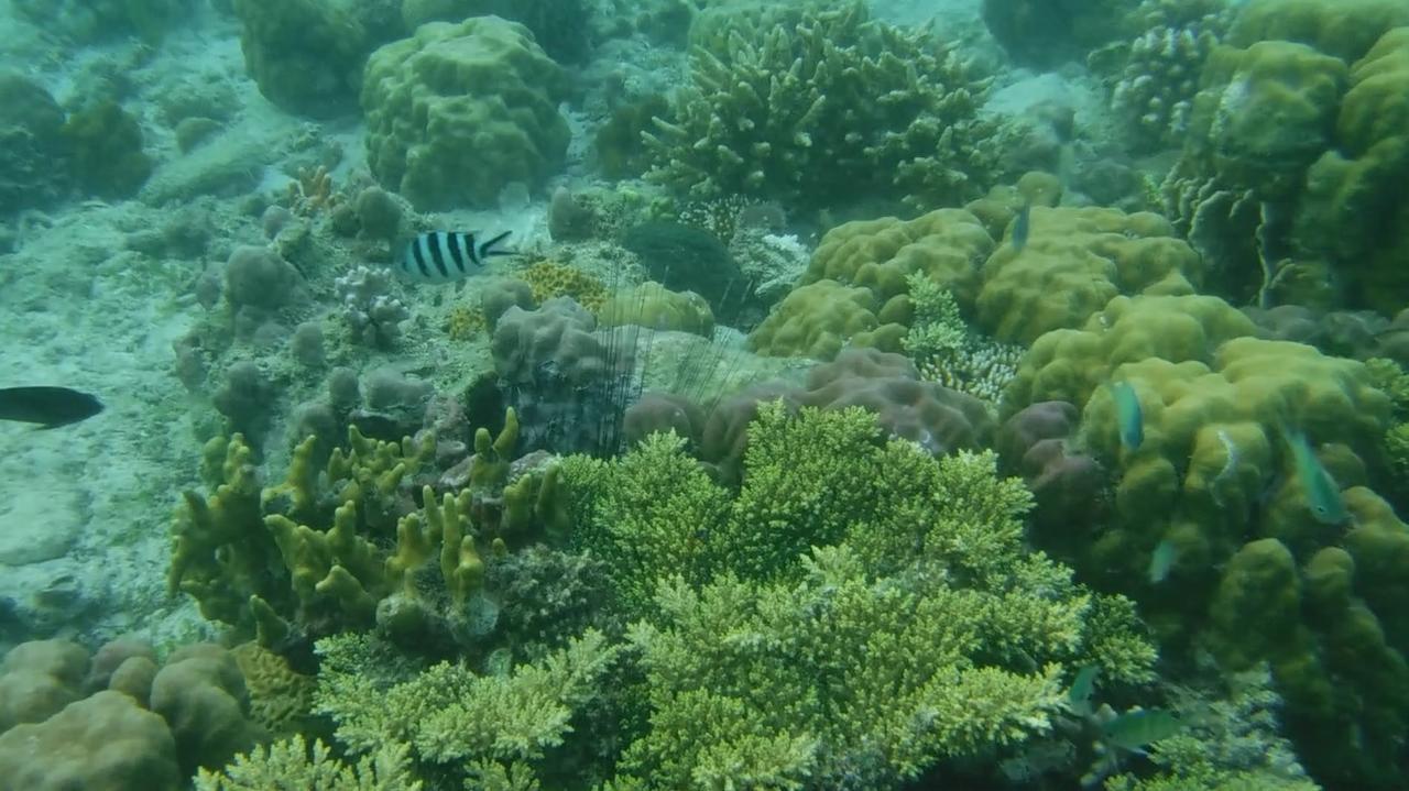 Iris Island Eco Resort Busuanga Zewnętrze zdjęcie